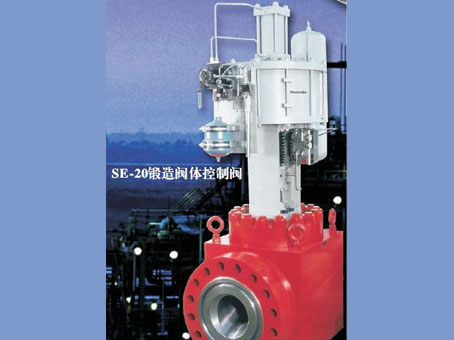 德莱赛梅索尼兰调节阀-锻造阀体控制阀